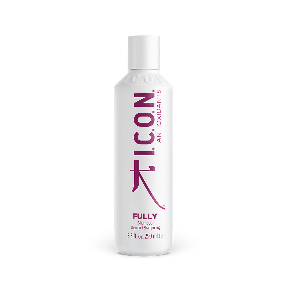 FULLY SHAMPOO 250 ML